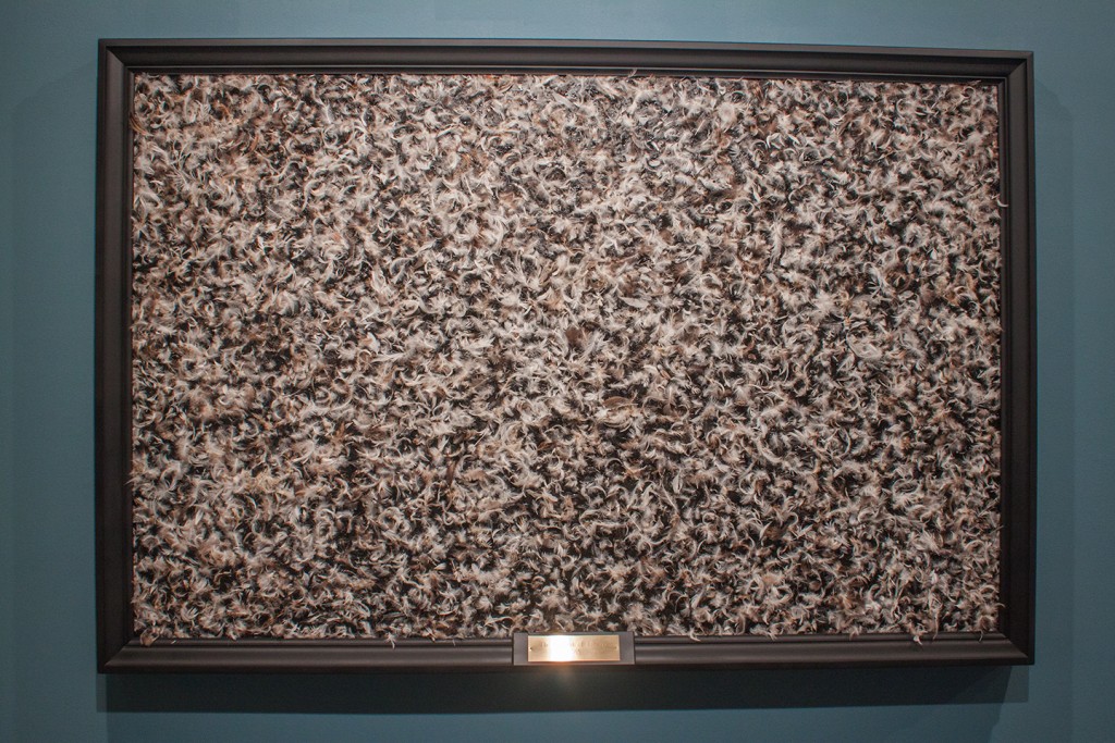 22_pursuit-of-liberty1