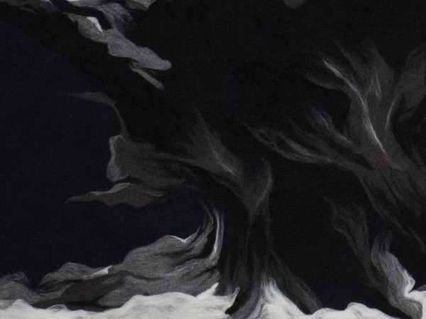 The First Will Be Followed By Many copy